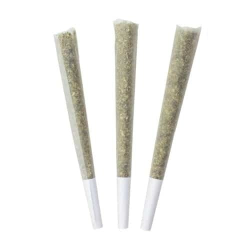 BLUEBERRY YUM YUM PRE-ROLLS | 3 x