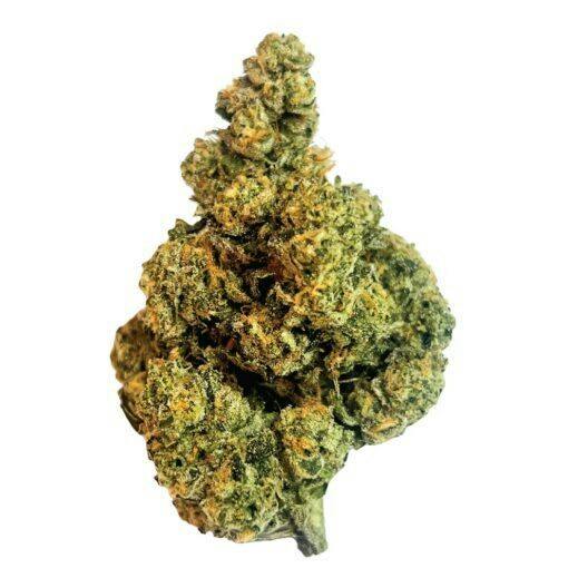 Amani Craft | TURBULENCE LTO | 7g