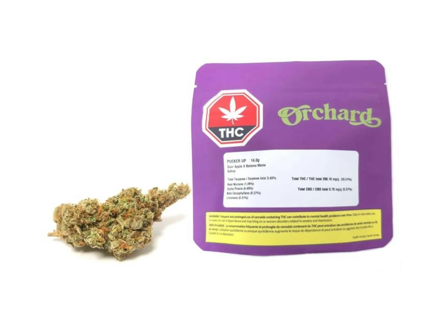 Orchard | PUCKER UP LTO | 14g