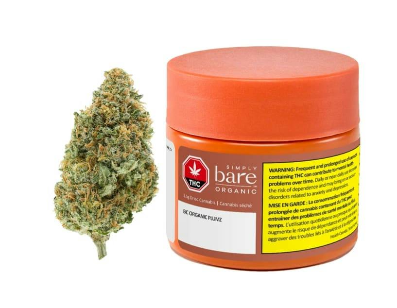 Simply Bare Organic | BC ORGANIC PLUMZ LTO | 3.5g