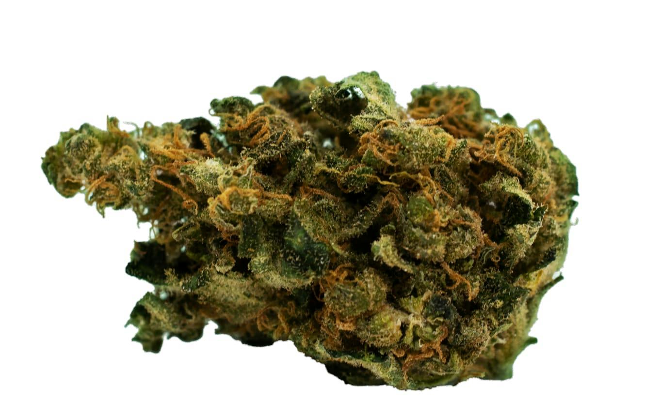 Always Hi | DURBAN POISON | 14g