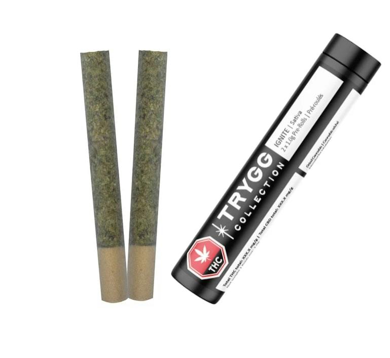 TRYGG | IGNITE PRE-ROLLS | 2 x 1g