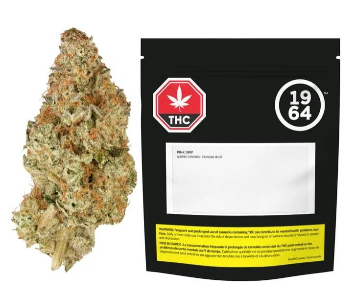 1964 | PINK DRIP | 7g