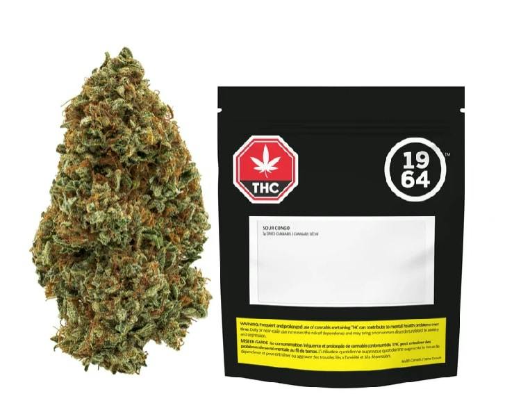 1964 | SOUR CONGO | 7g