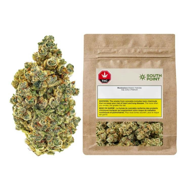 South Point | MASTERPIECE | 14g