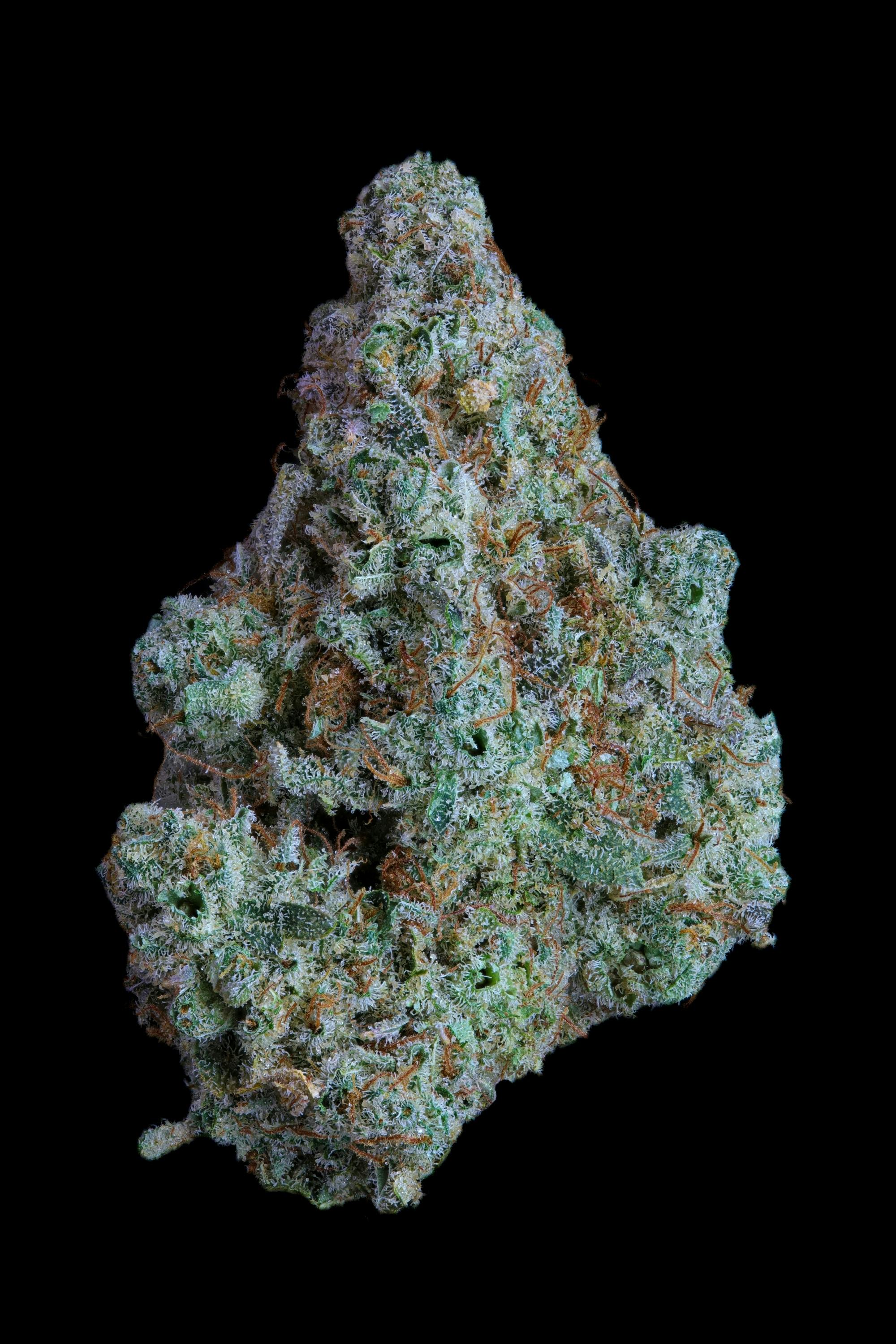 HKEO - SH - Bulk Flower - Kaya