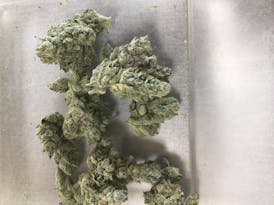 Gorilla Glue A" $12"