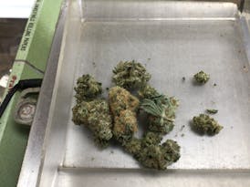 Lemon Cherry Gelato$6/G