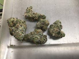 8'' Bagel $10