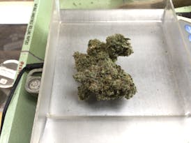 Gorilla Glue ($12)
