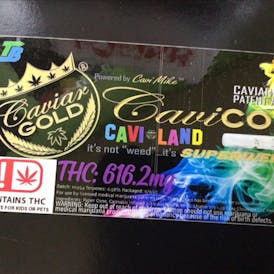 CAVI LAND (Cavi cone)