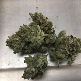 GG#4 10$