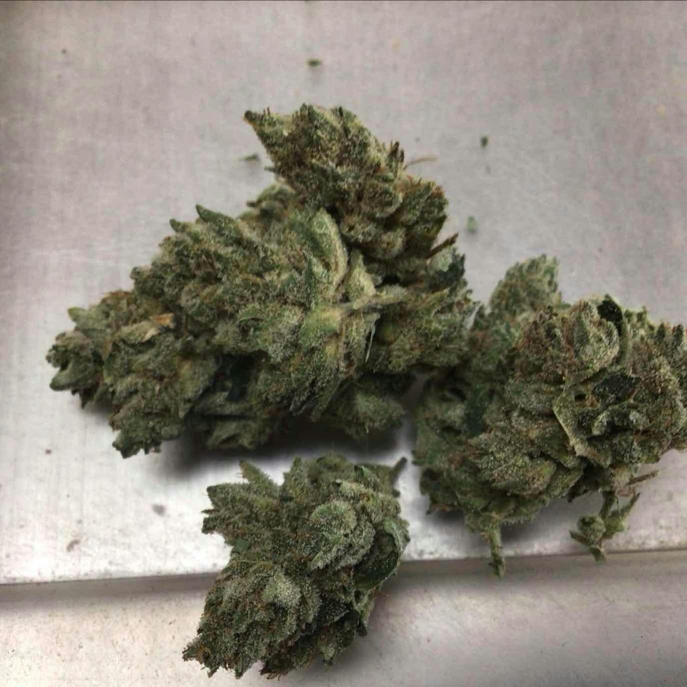 GG#4 10$
