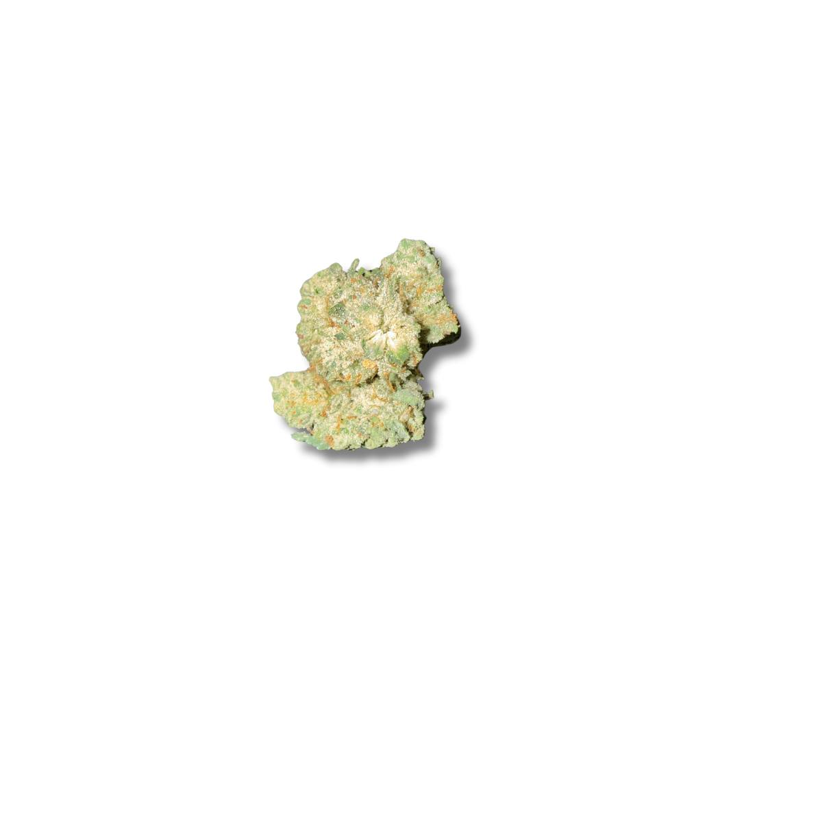 GORILLA GLUE #4 | DELI | TIER FIVE cannabis product