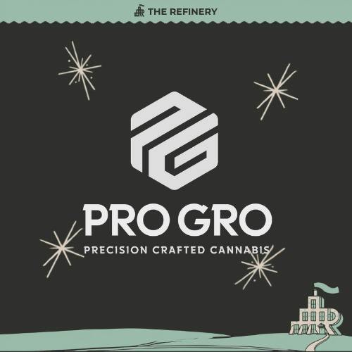 Orange Push Pop | Pro Gro | Flower | Tier Six cannabis product