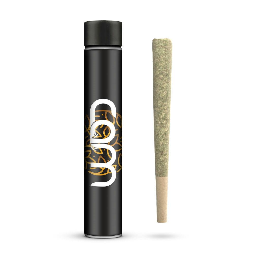 CAM - Papaya Juice - Pre-roll