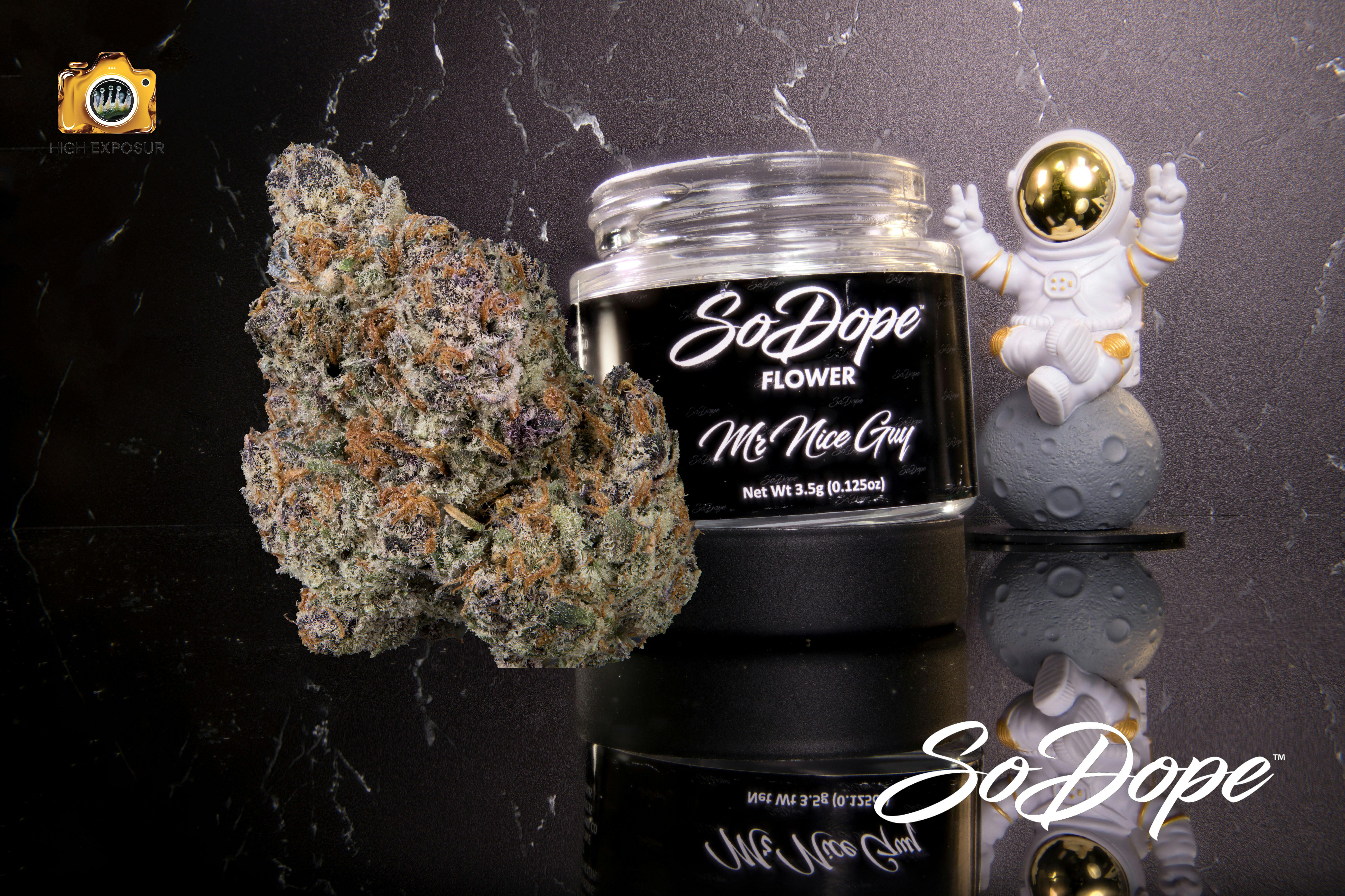 SO DOPE - Mr. Nice Guy - Flower