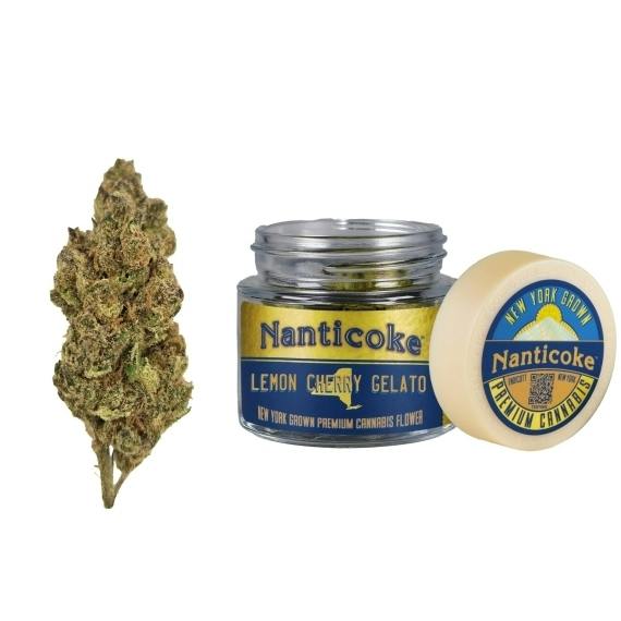 NANTICOKE - Lemon Cherry Gelato - Flower