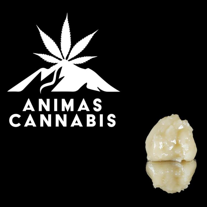 Animas - Blue Zushi Live Rosin at Apogee Dispensary - Sunland Park