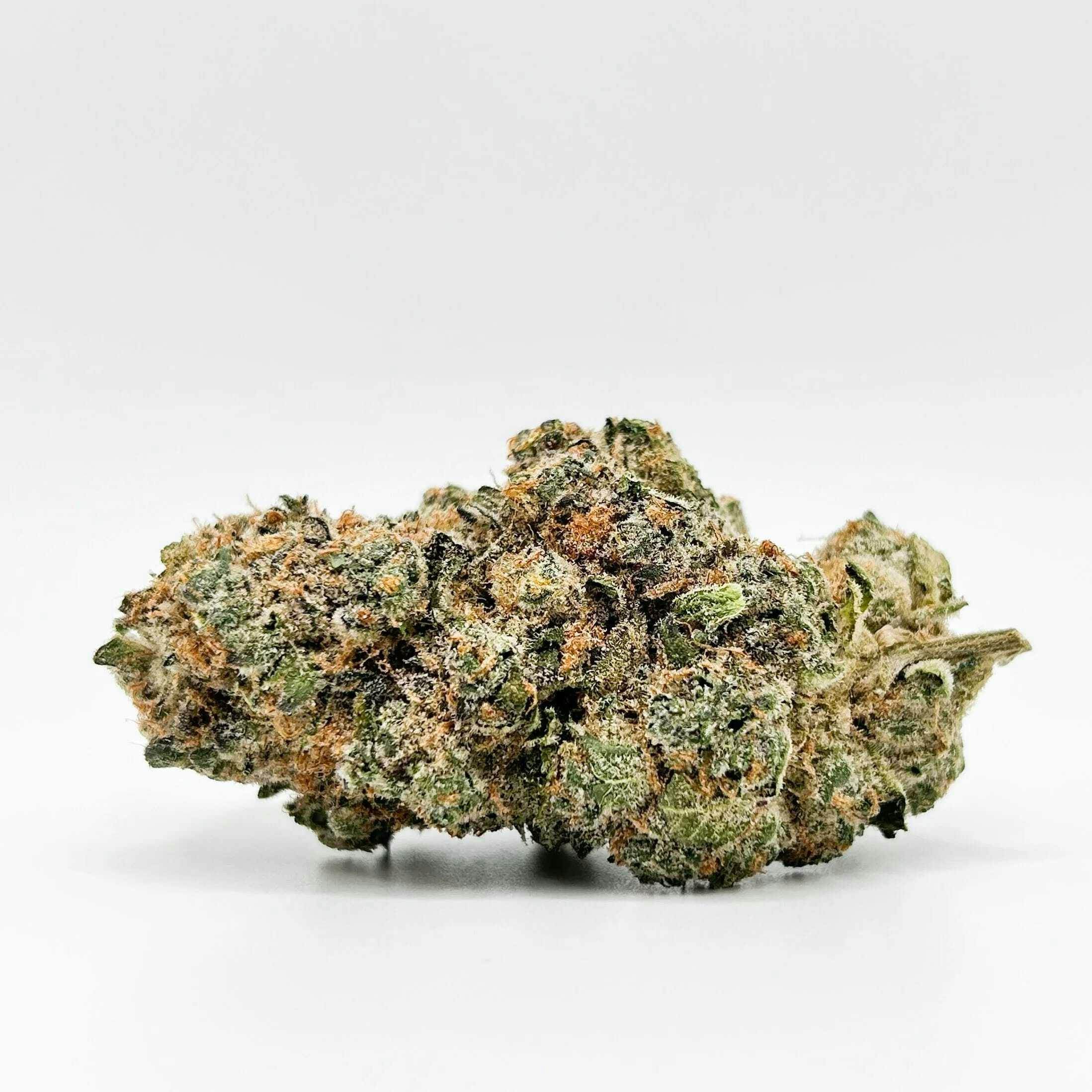 Flower Factory - Biscotti - Eighth