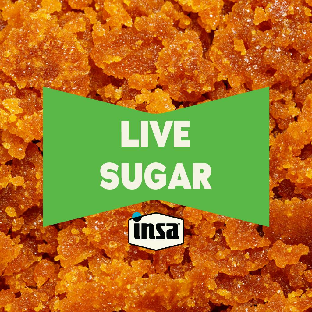 INSA Grape Gasoline Live Sugar 1g