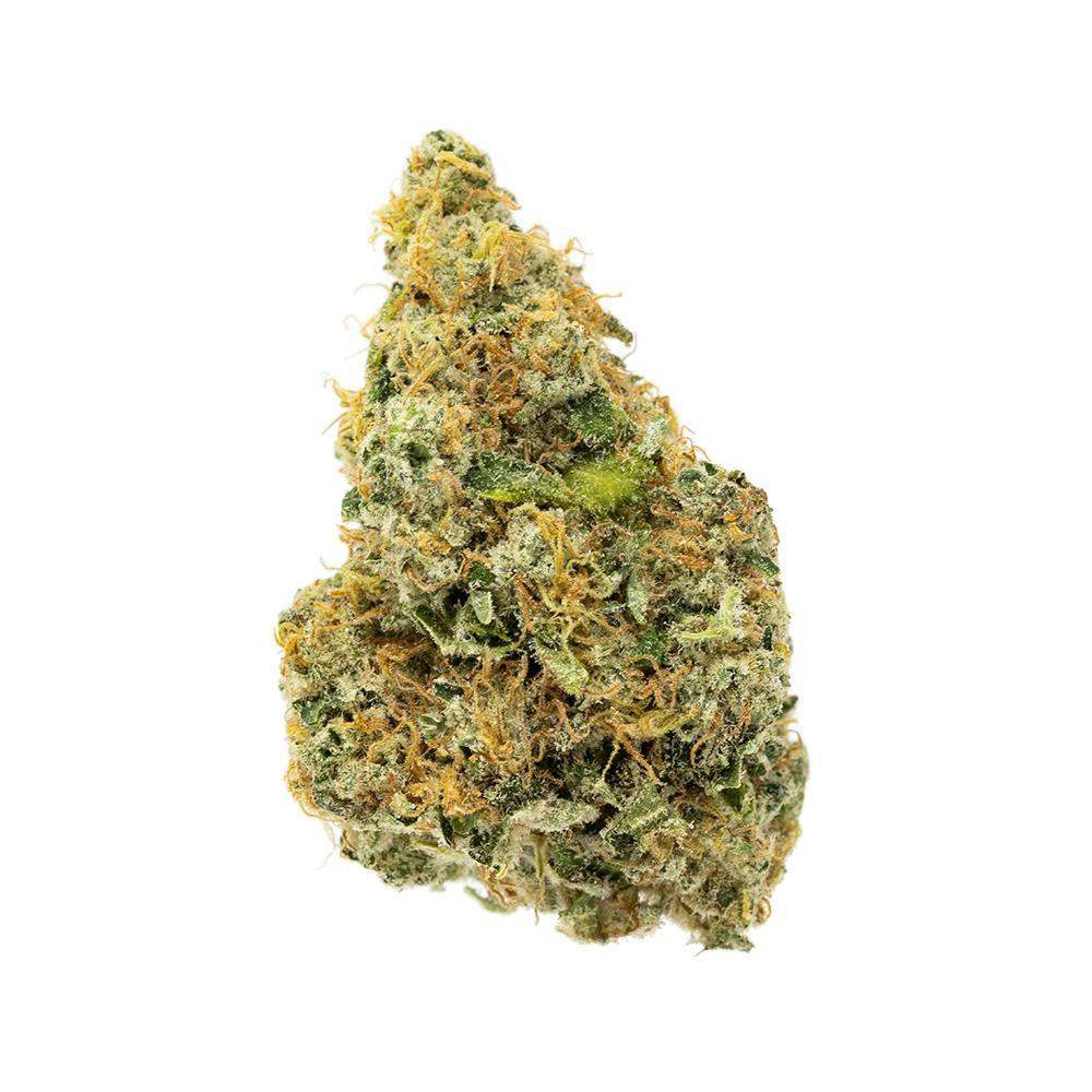 Terrapin Wifidelity Whole Flower 3.5g