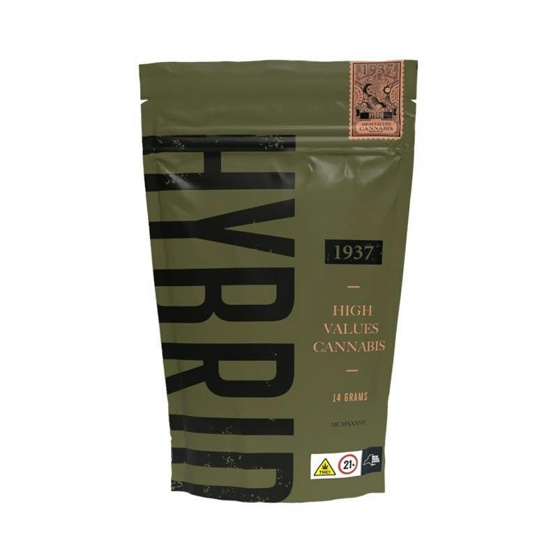 1937- Flower- Papaya (H)