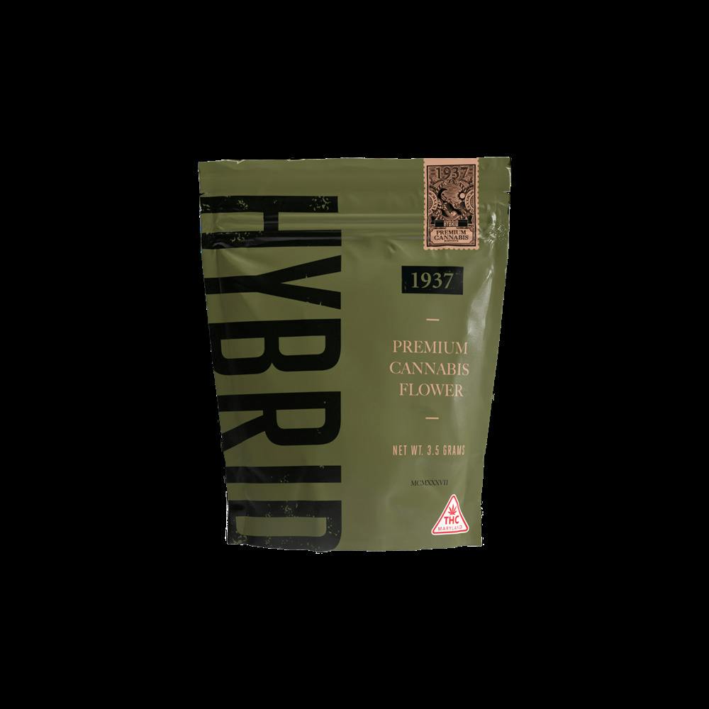 1937- Flower- Citron Gavre (H)