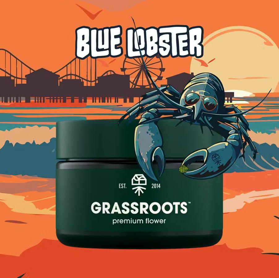Grassroots | Blue Lobster | 3.5g Flower