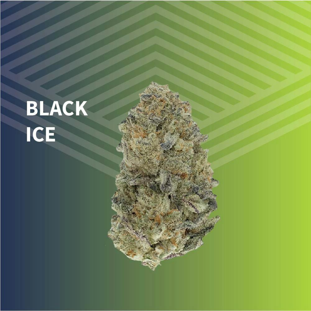 Value Black Ice at Pure Dakota Health of Fargo