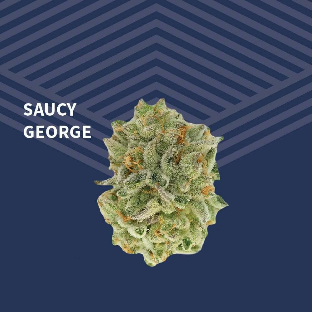 Saucy George at Pure Dakota Health of Fargo
