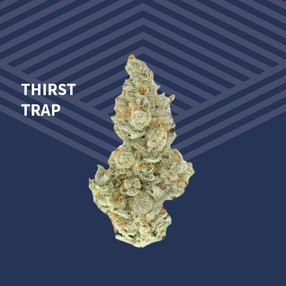 Thirst Trap at Pure Dakota Health of Fargo
