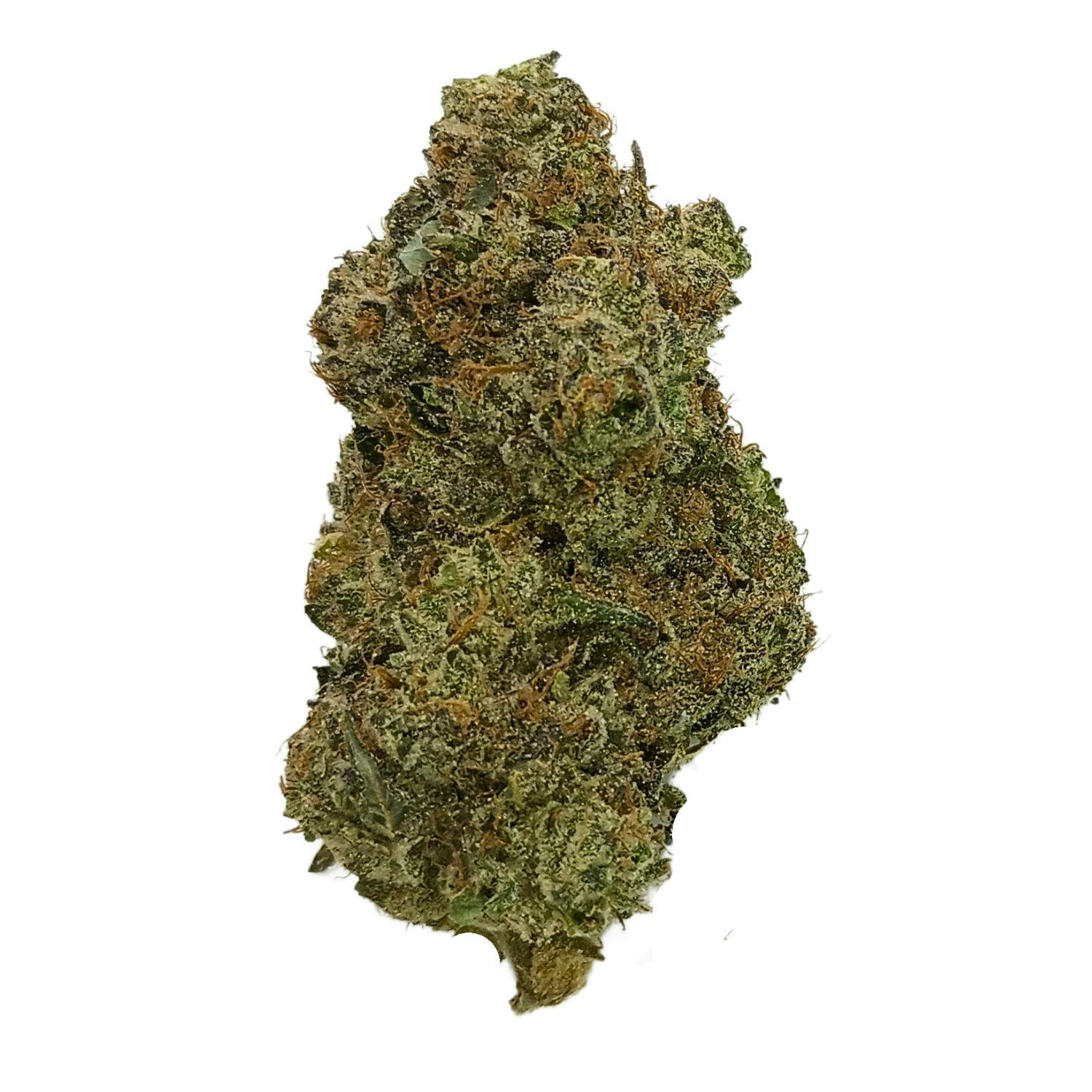 FADED SCROOPY NOOPERS FLOWER REC