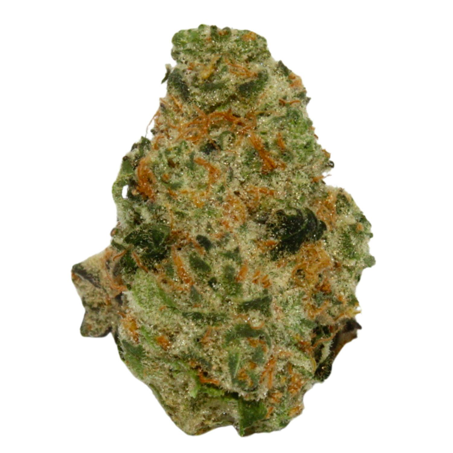 HIGHWAY HORTICULTURE PLATINUM RUNTZ FLOWER REC