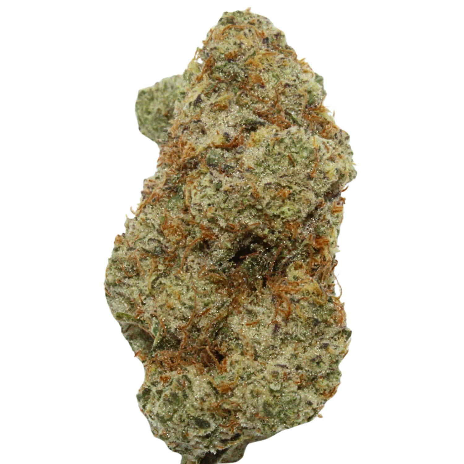 CREME CULTIVATION PINK SHERB FLOWER REC