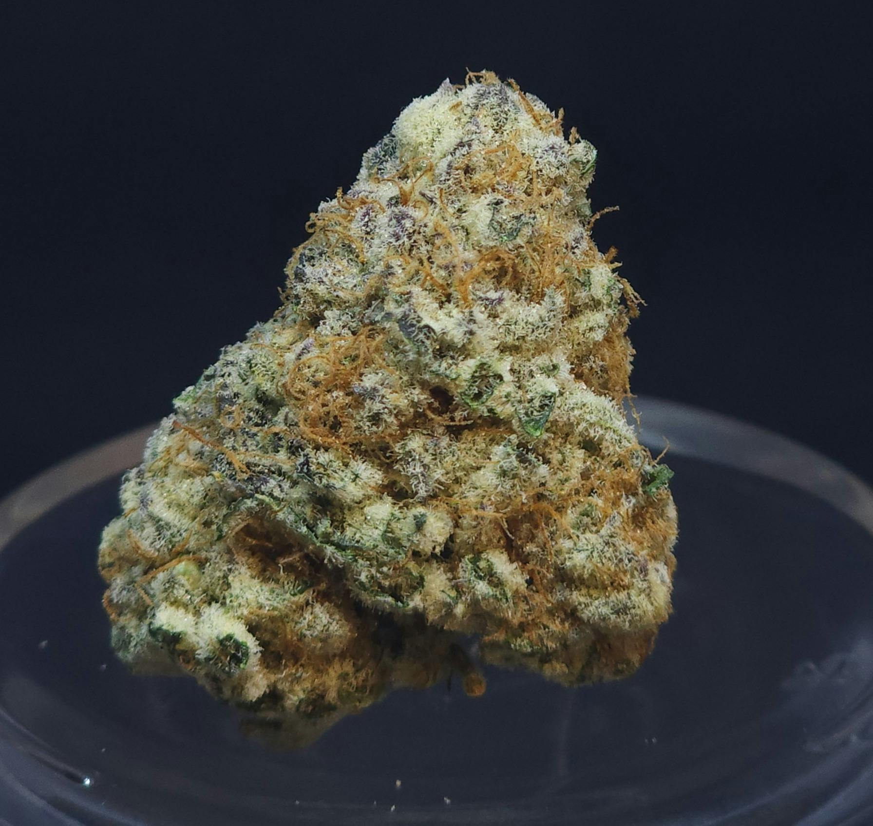 Purple Punch 3.5g Flower