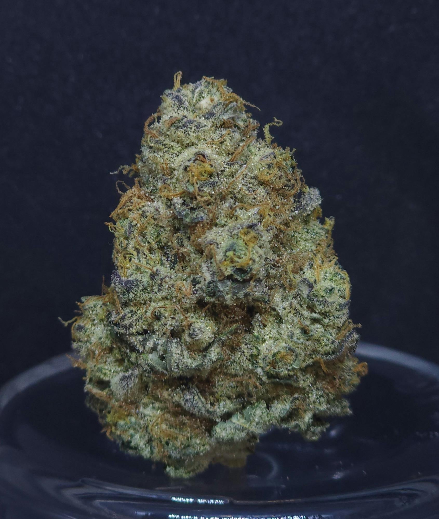 GMO Cookies .5g Pre-Roll - BAM Alaska