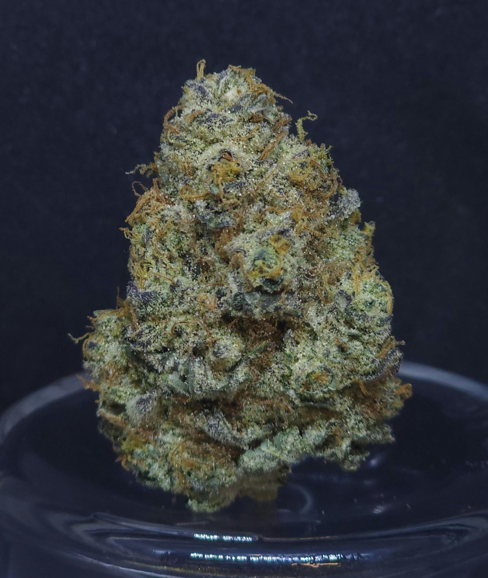GMO Cookies .5g - 5 Pack