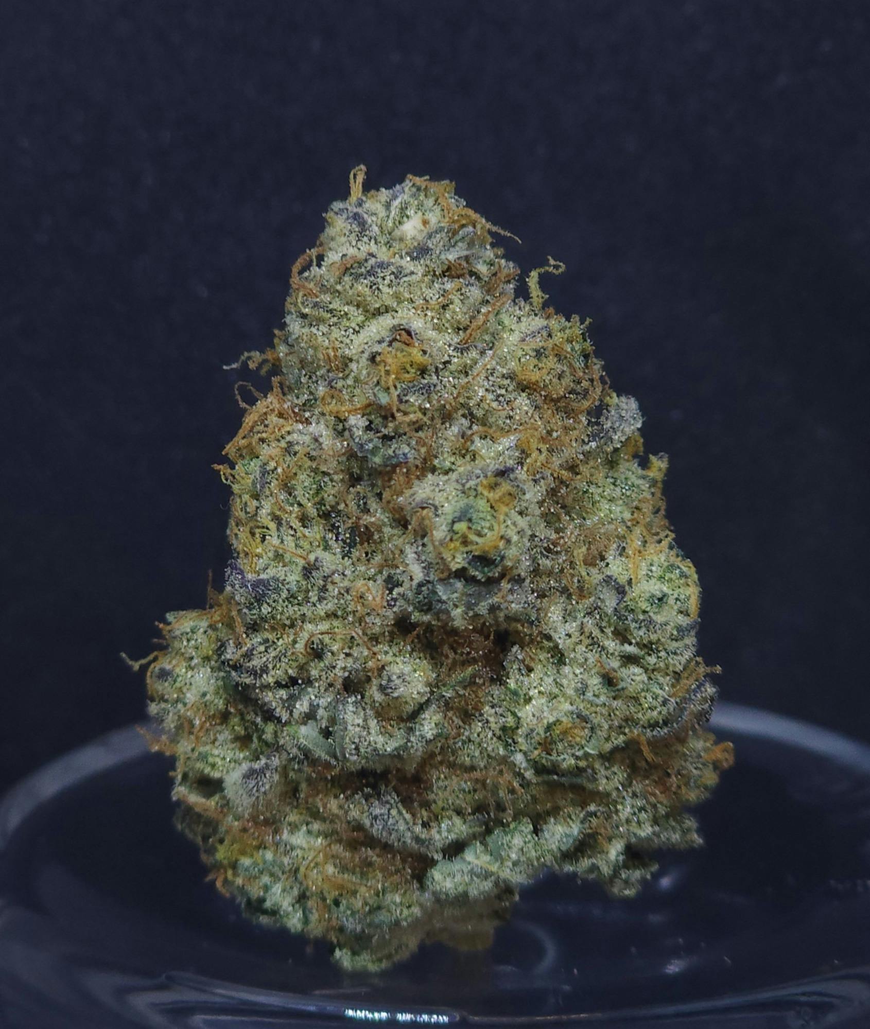 GMO Cookies .5g - 2 Pack
