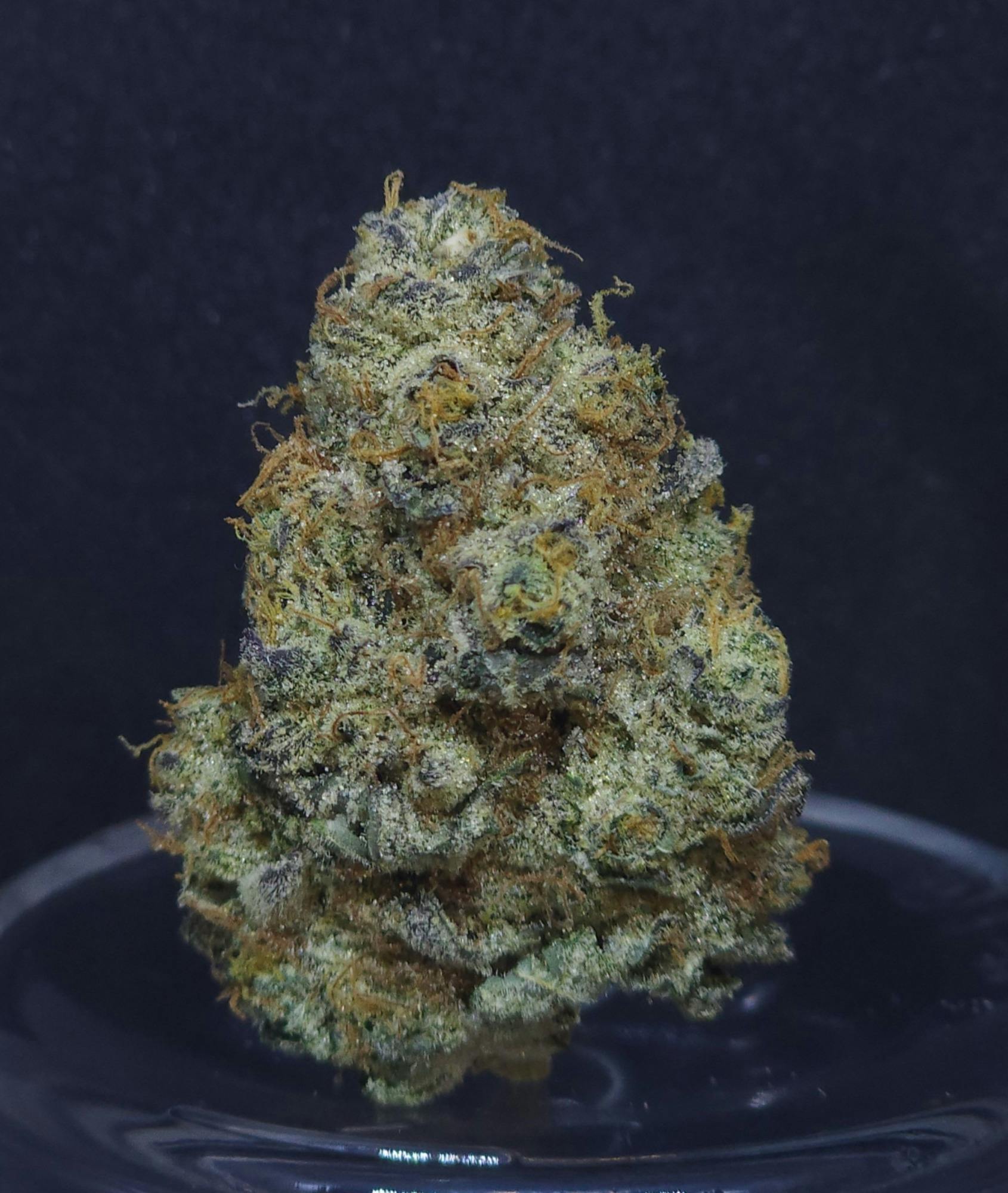 GMO Cookies 1g Flower