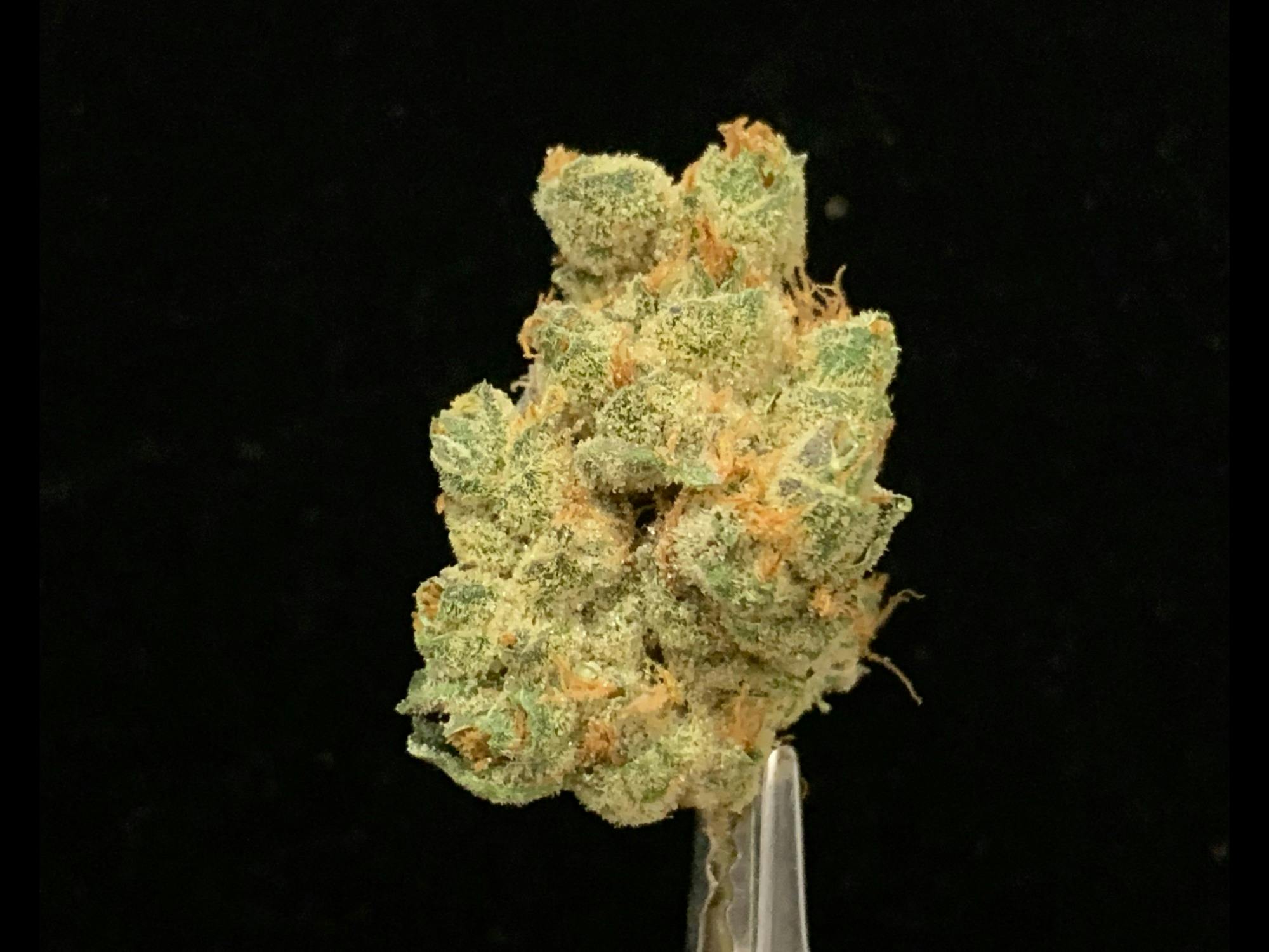 GMO Cookies 3.5g Flower