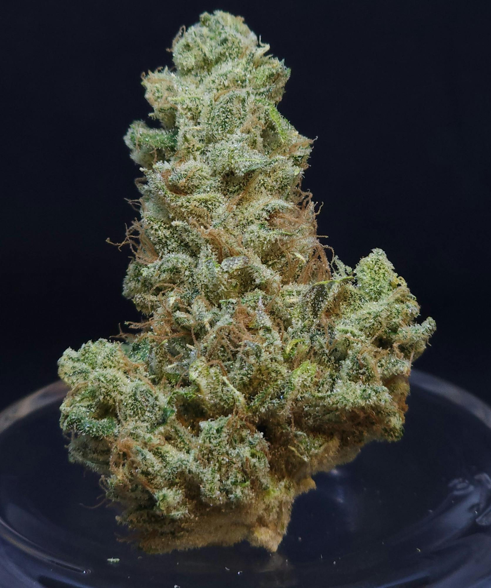 Scuba's Key Lime OG 14g Flower