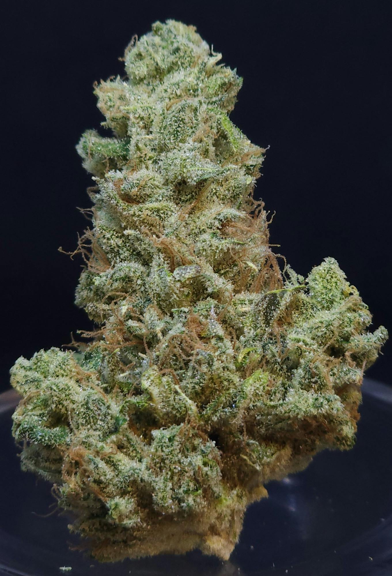 Scuba's Key Lime OG 3.5g Flower