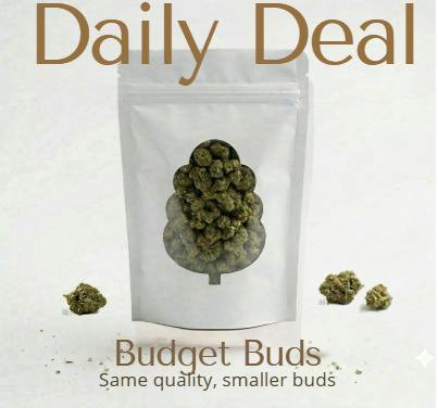 Daily Deal - Hash Burger 14g Flower