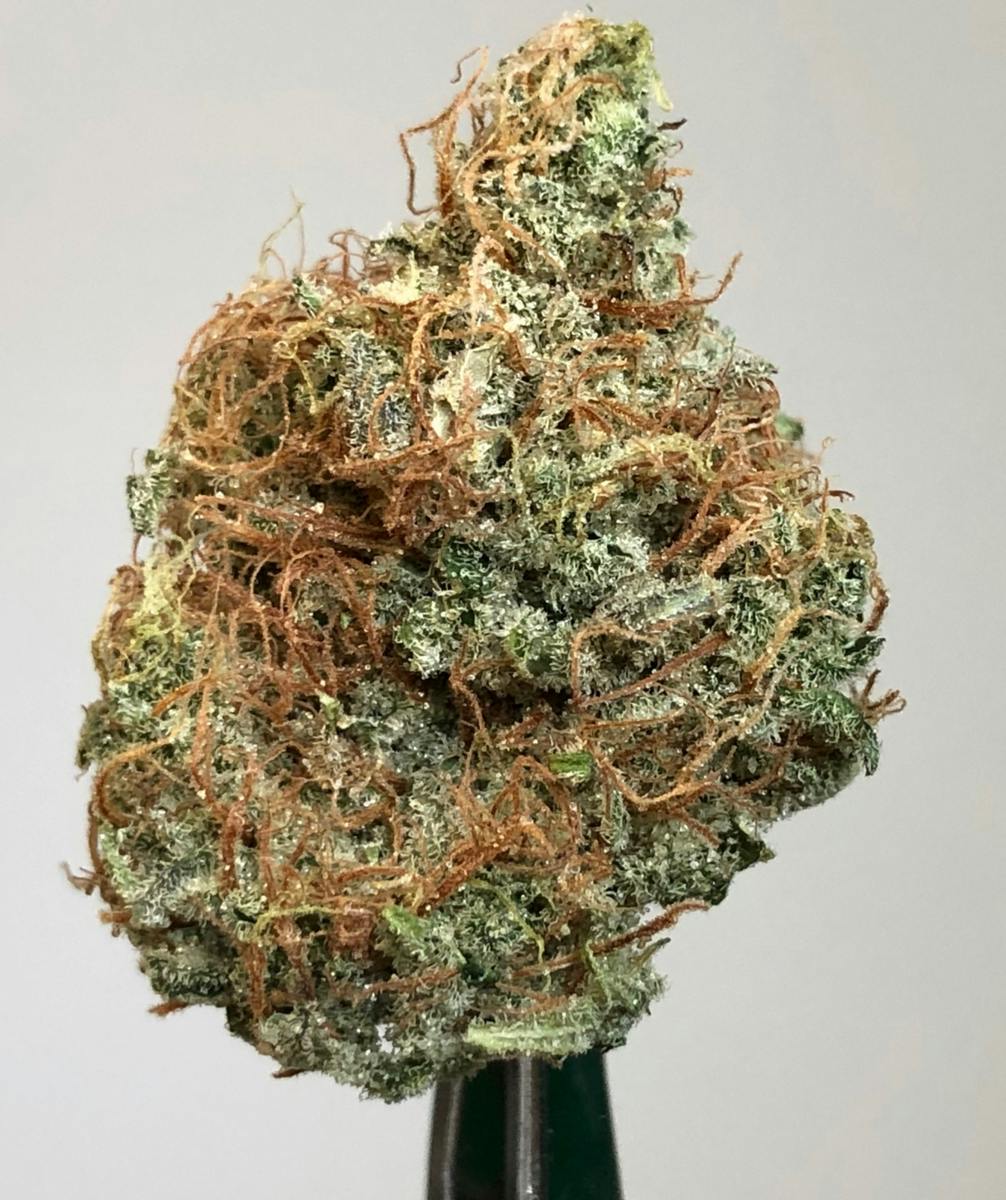 Willy's Wonca 1g Flower