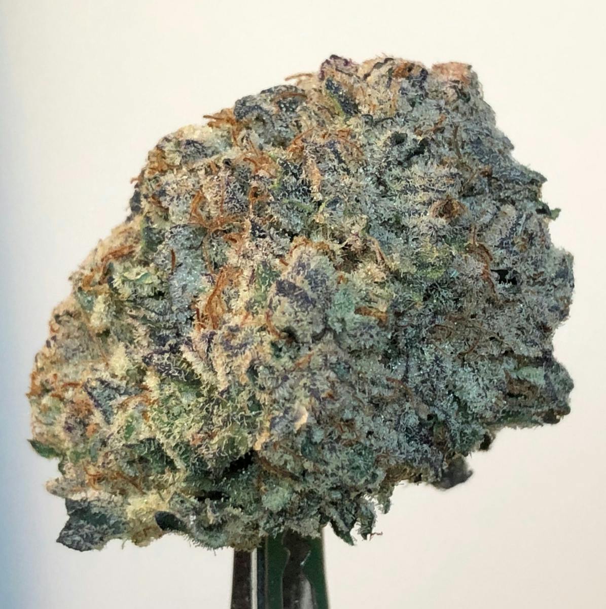MAC #1 3.5g Flower - BAM