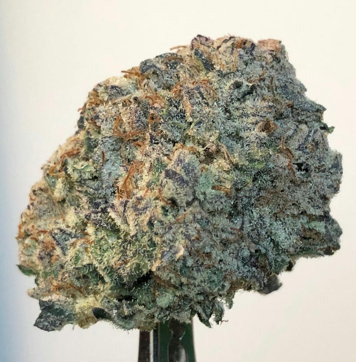 MAC #1 1g Flower - BAM