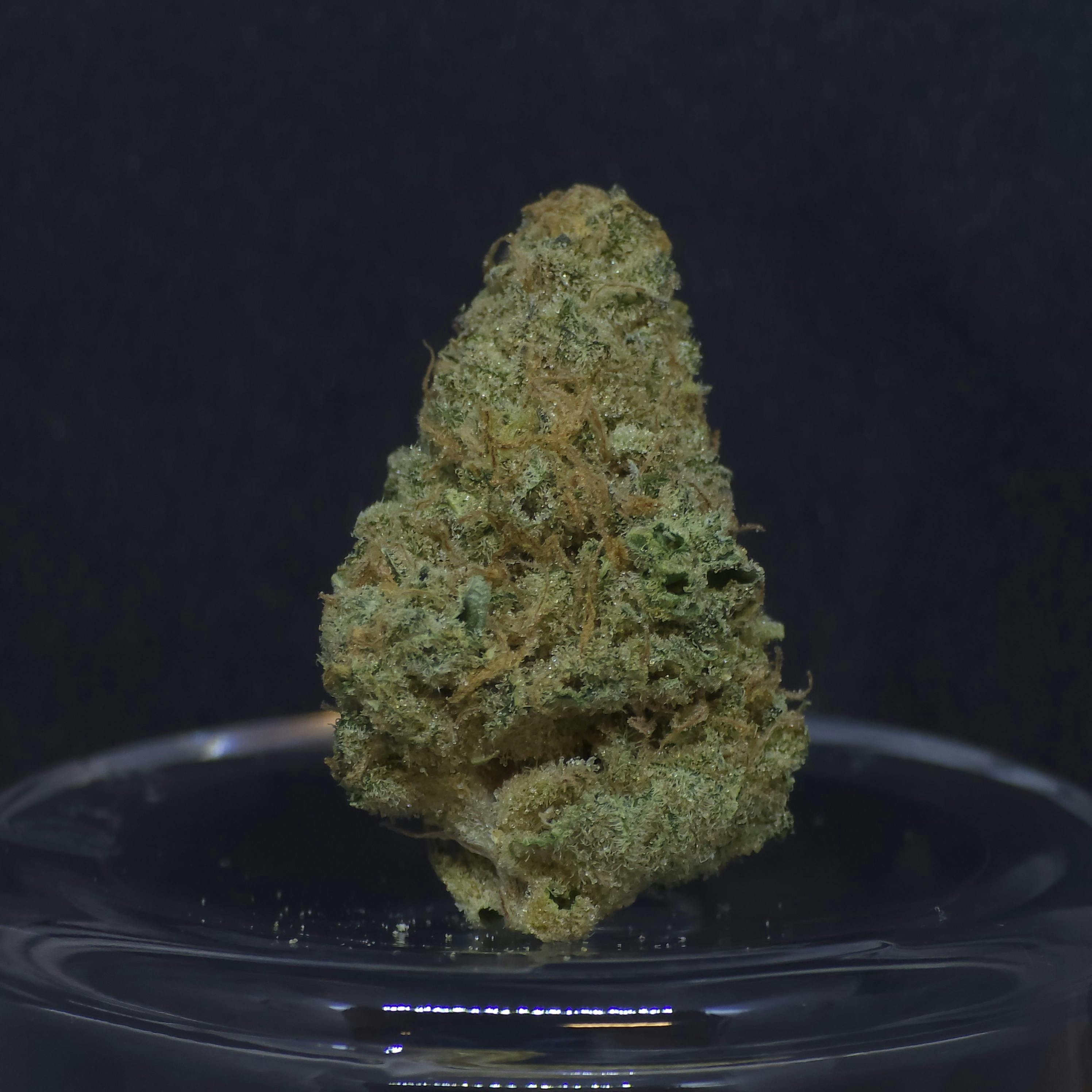 Honey Banana 1g Flower