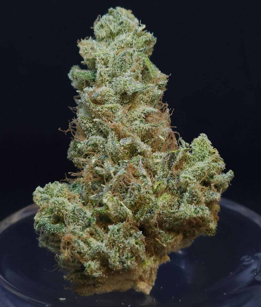Scuba's Key Lime OG 1.5g Fat Boy