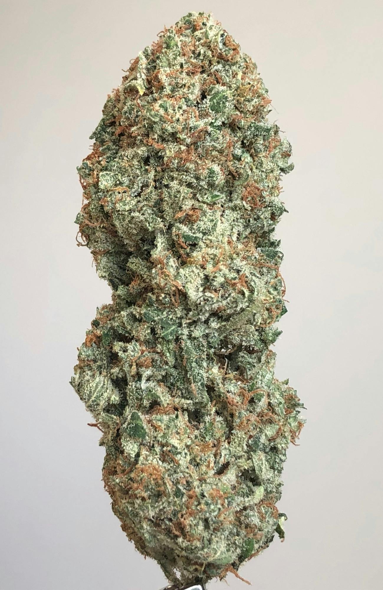 Lemon Ice Pucker 1g Flower
